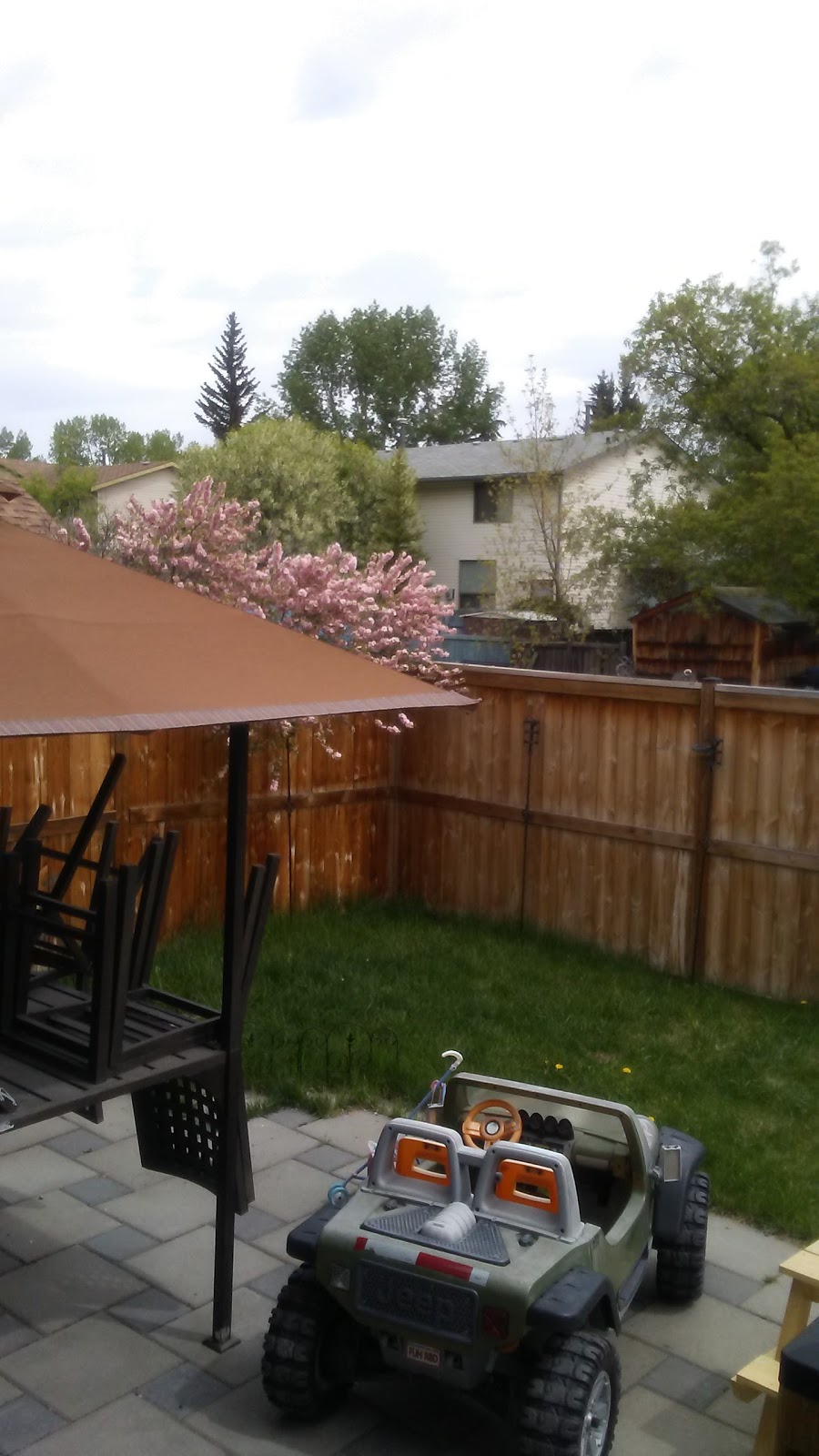Ranchview Court Park | 6420 Ranchview Dr NW, Calgary, AB T3G 1A1, Canada