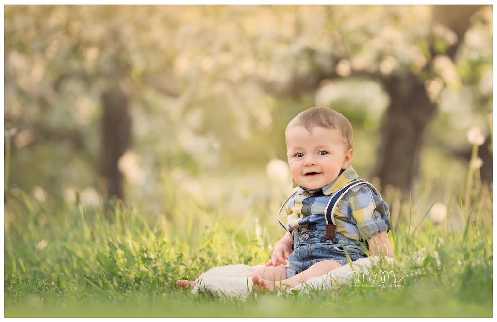 Mama Moose Photography | 22 Concession Rd 14 E, Puslinch, ON N0B 2J0, Canada | Phone: (416) 455-0426