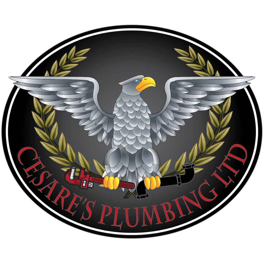 Cesares Plumbing Ltd. | 9 Wenstrom Crescent NE, Langdon, AB T0J 1X1, Canada | Phone: (403) 830-9408
