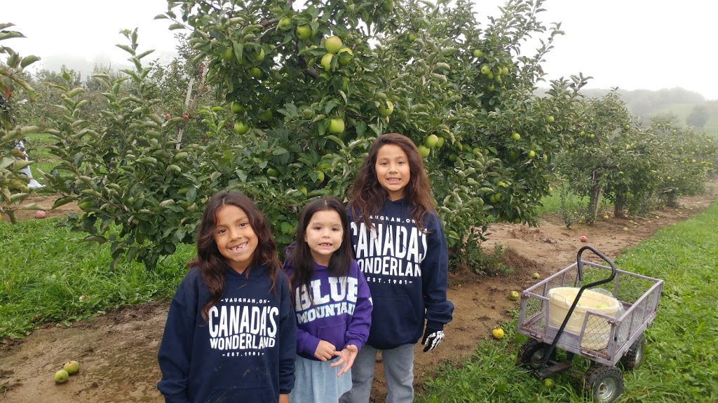 Carluke Orchards | 2194 Shaver Rd, Ancaster, ON L9G 3L1, Canada | Phone: (905) 648-2775