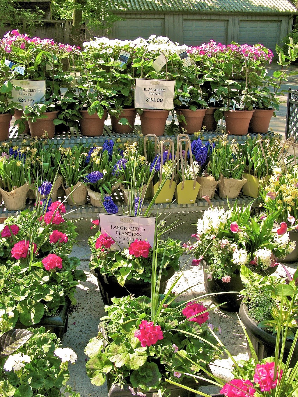 Summerhill Floral Boutique | 1057 Mt Pleasant Rd, Toronto, ON M4P 2M5, Canada | Phone: (647) 748-0777