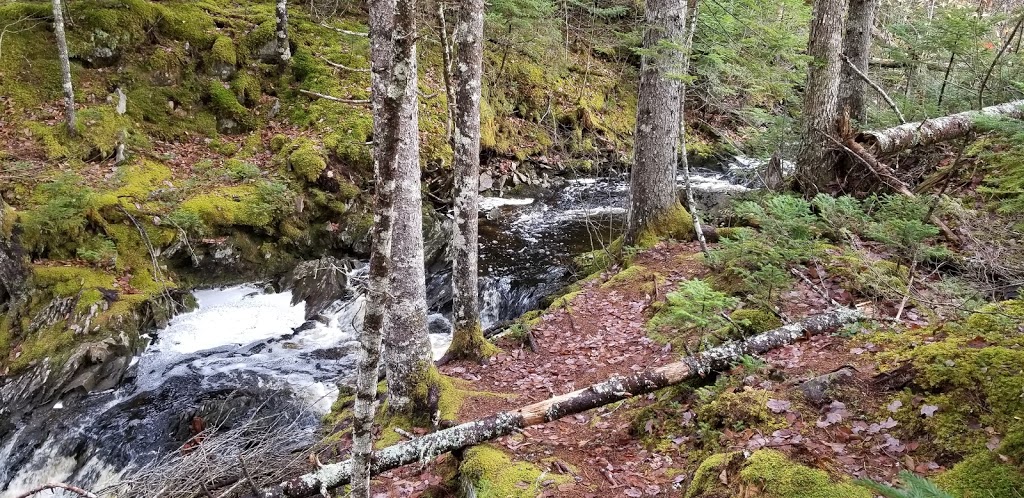 Uniacke Estate Museum Park | 758 Nova Scotia Trunk 1, Mount Uniacke, NS B0N 1Z0, Canada | Phone: (902) 866-0032