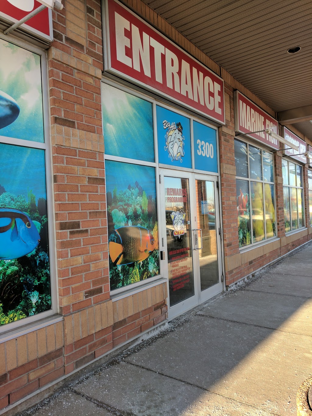 Big Al's Aquarium Supercentres 3300 Rutherford Rd, Concord, ON L4K