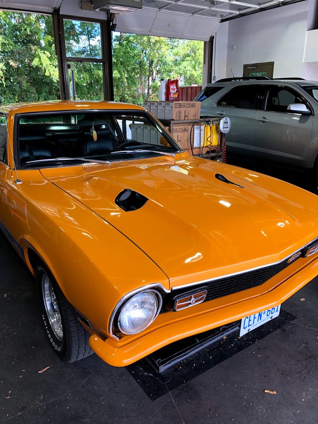 Jiffy Lube | 252 Eramosa Rd, Guelph, ON N1E 2M4, Canada | Phone: (519) 821-3183