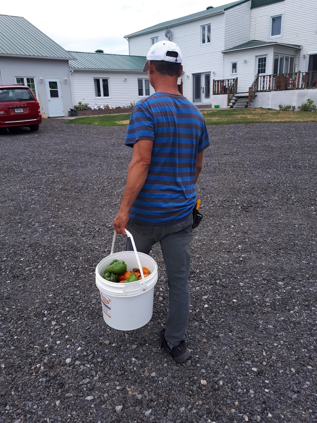 Du champs aux pots | 600 Rang St Joseph, Sainte-Martine, QC J0S 1V0, Canada | Phone: (450) 427-0186