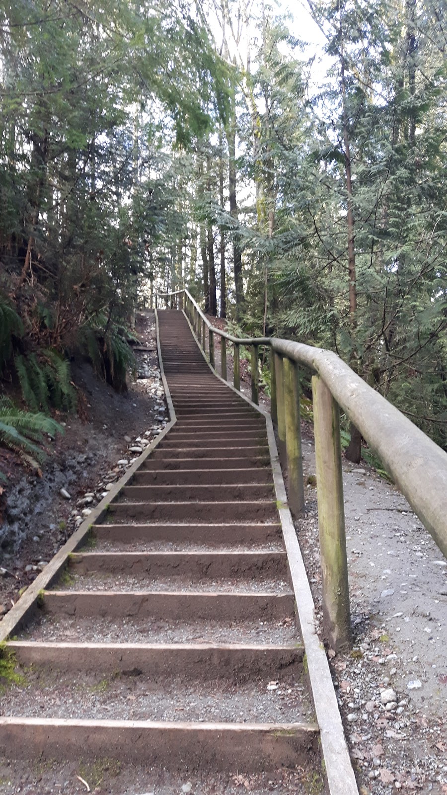 Willard Park | 6280 12th Ave, Burnaby, BC V3N 2Y4, Canada | Phone: (604) 294-7450