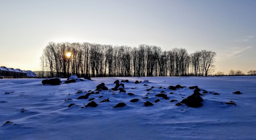 Westview Meadows | Orillia, ON L3V 6H2, Canada