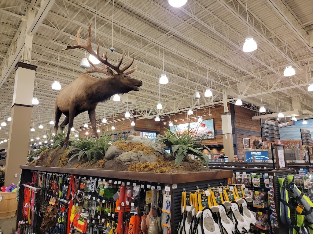 Cabelas | clothing store | 1818 McCallum Rd, Abbotsford, BC V2S 0H9, Canada | 6044251800 OR +1 604-425-1800