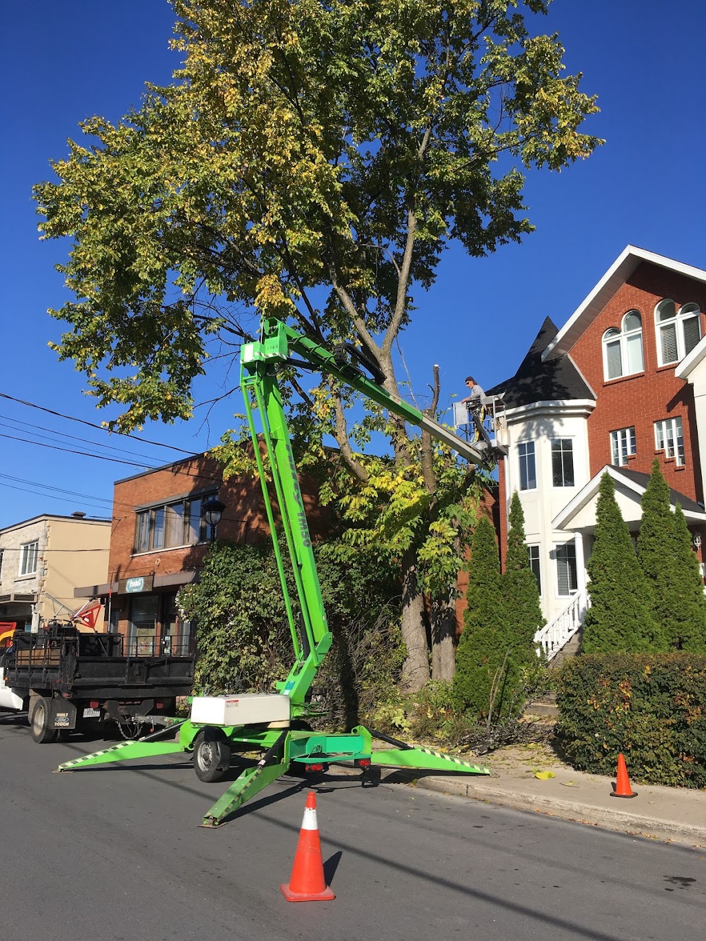 TAS Tree Pruning & Removal | point of interest | 33 Rue Watterson, Baie-dUrfé, QC H9X 3C5, Canada | 5147012684 OR +1 514-701-2684