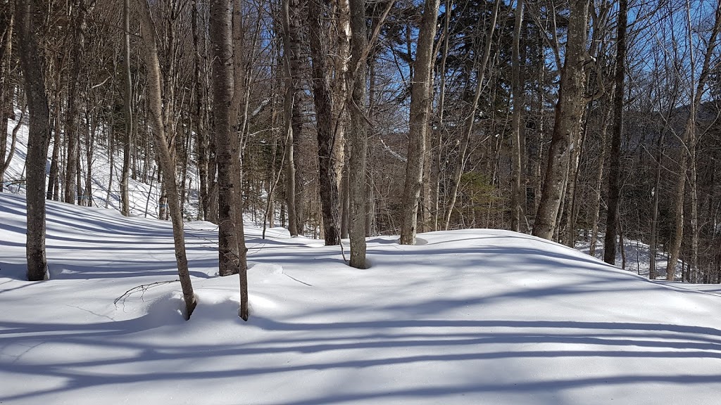 Camping et chalets ETSANHA | 1410 Route du Bras-du-Nord, Saint-Raymond, QC G3L 3J1, Canada | Phone: (418) 337-4184