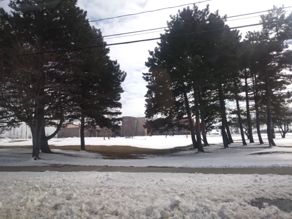Niagara Falls High School | 4455 Porter Rd, Niagara Falls, NY 14305, USA | Phone: (716) 278-5800