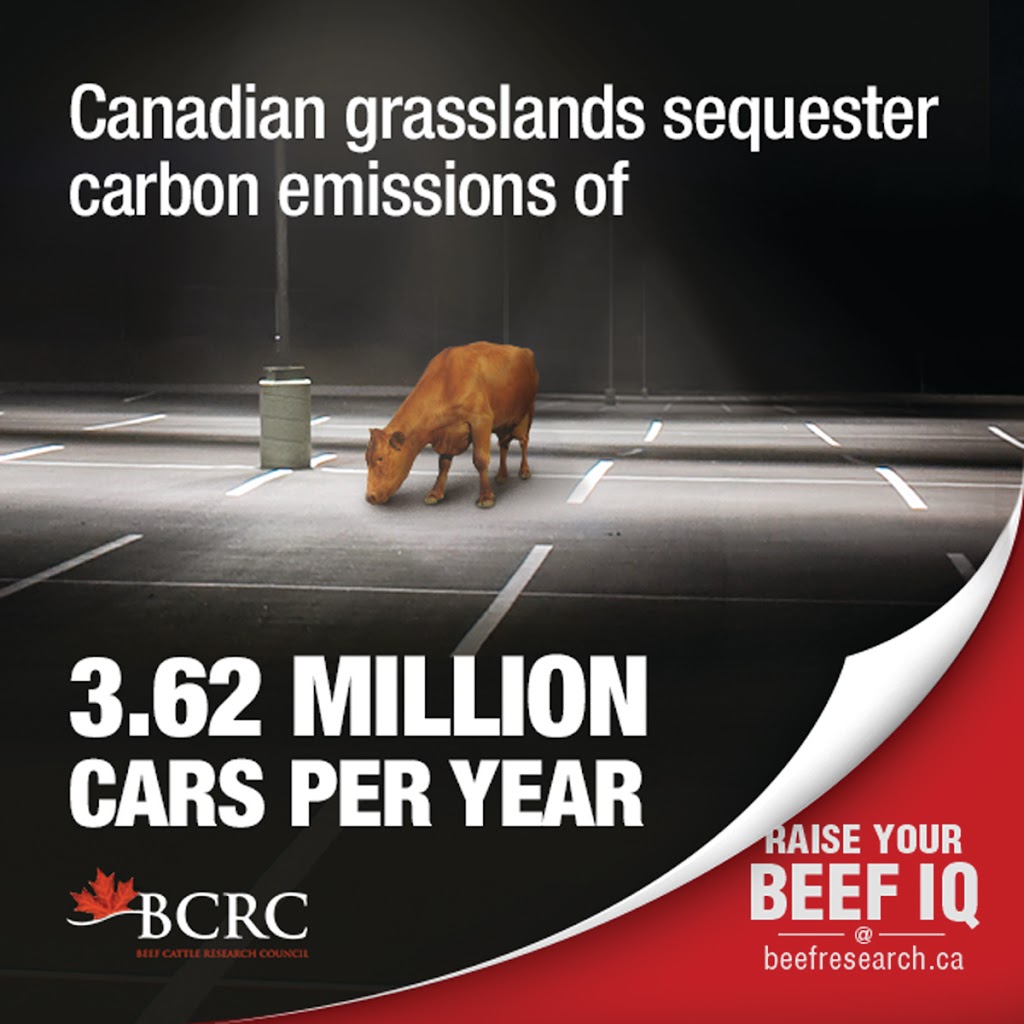 Beef Cattle Research Council | 6815 8 St NE #180, Calgary, AB T2E 7H7, Canada | Phone: (403) 275-8558
