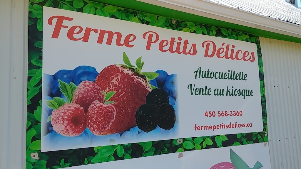 Pick-your-own Petits Délices farm for strawberries raspberries blueberries | 830 Rang du Haut de la Rivière, Pierreville, QC J0G 1J0, Canada | Phone: (450) 568-3360