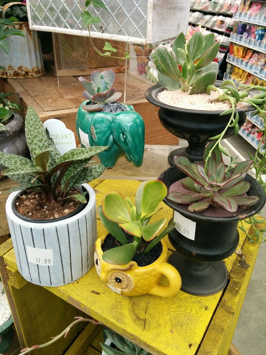 Potters Nursery | 19158 48 Ave, Surrey, BC V3Z 1B2, Canada | Phone: (604) 576-5011
