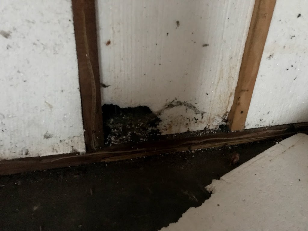 Combat Foam Insulation Inc | 70 Webster Rd, Hamilton, ON L8G 5E9, Canada | Phone: (905) 407-1821