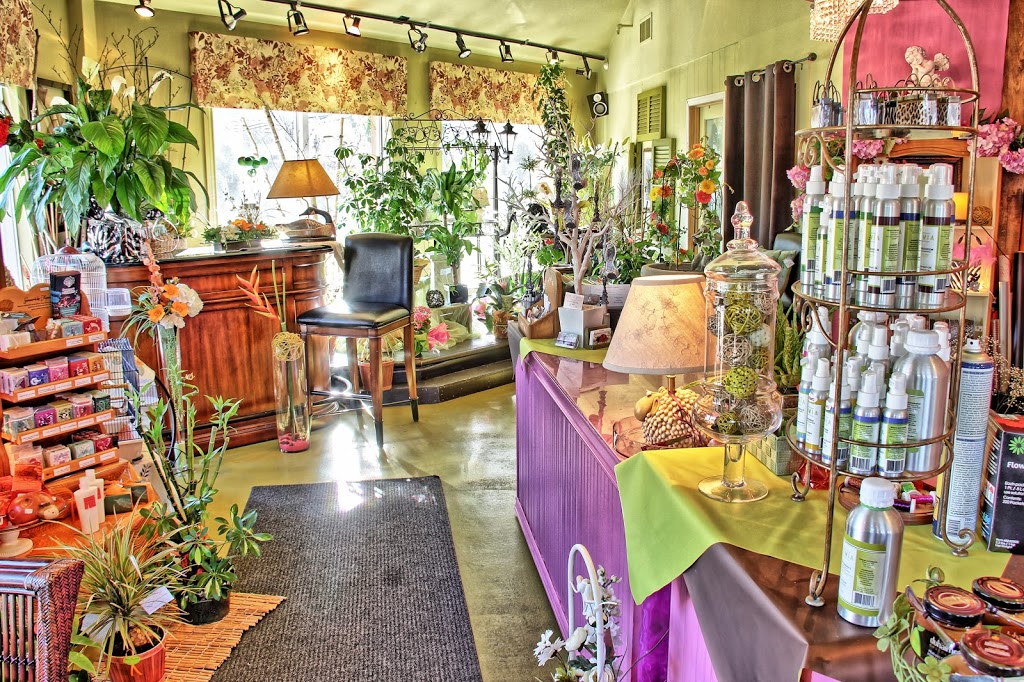 Les Reines des Prés Fleuriste | 224A Chemin du Lac-Millette, Piedmont, QC J0R 1R3, Canada | Phone: (450) 227-9900