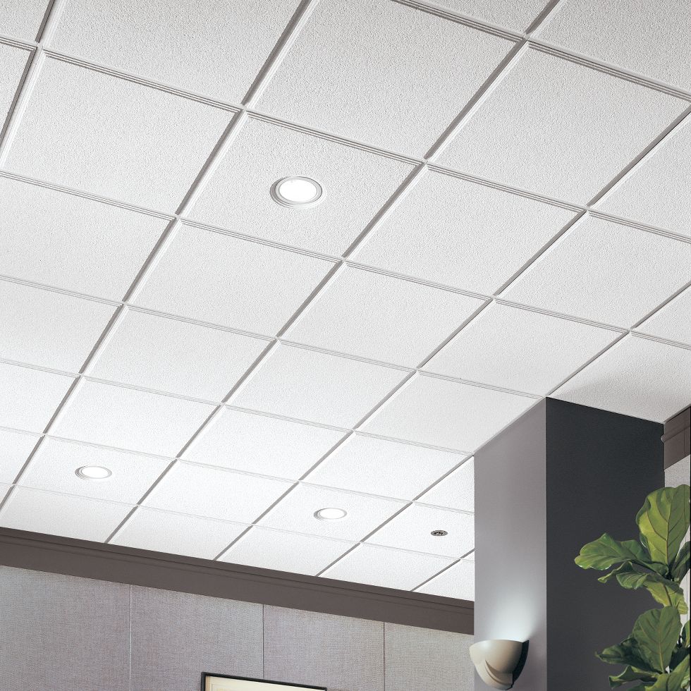 R. Martens Acoustic Ceilings | 185 Elmdale St, Steinbach, MB R5G 0E3, Canada | Phone: (204) 380-3519