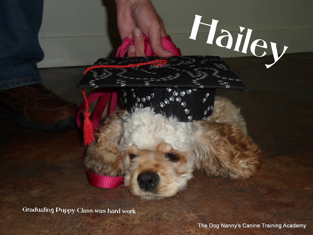 The Dog Nanny Canine Training Academy | 1963 Innisfil Beach Rd, Innisfil, ON L9S 4B4, Canada | Phone: (705) 436-4158