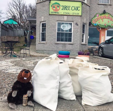 Tree Chic Eco Boutique | 8A Bay St, Parry Sound, ON P2A 1S3, Canada | Phone: (705) 746-1549