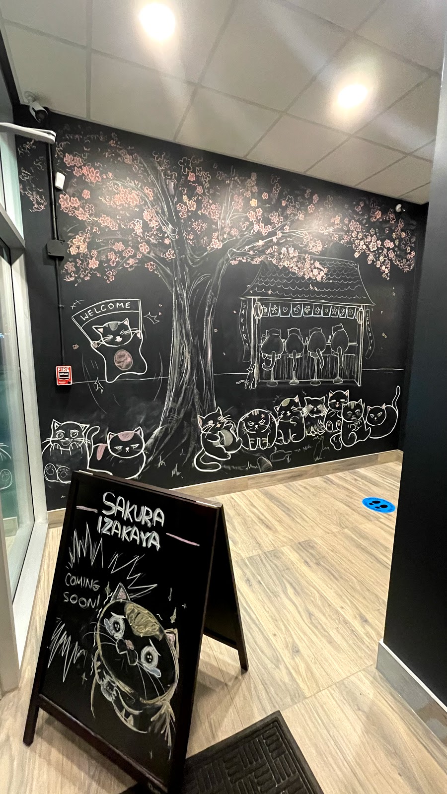Sakura Izakaya | 4436 Calgary Trail NW, Edmonton, AB T6H 5W6, Canada | Phone: (780) 760-6166