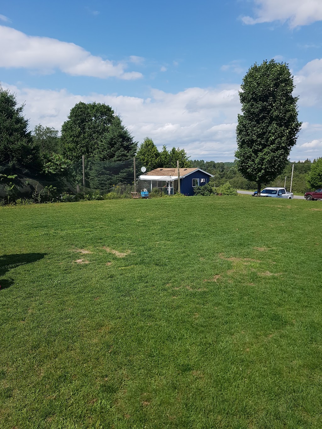 Haliburton Golf Centre | 6643 Gelert Rd, Dysart et al, ON K0M 1S0, Canada | Phone: (705) 457-2199