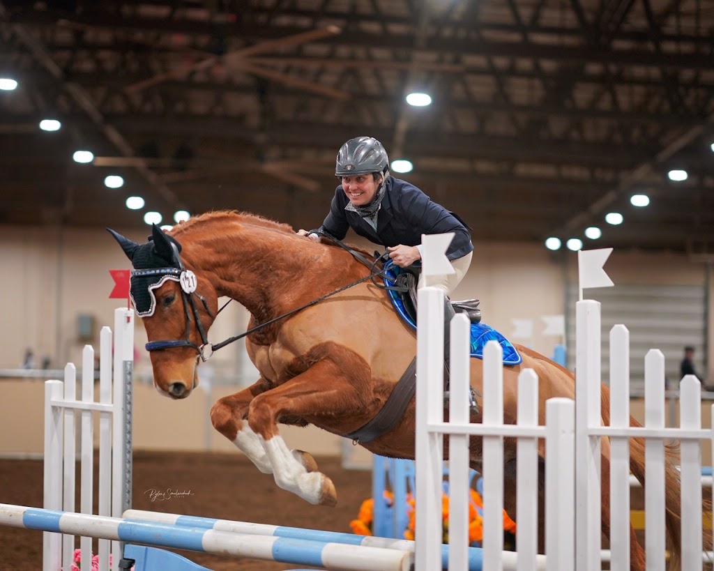 Nowell Equine | 274188, Range Rd 20, AB T4B 4M4, Canada | Phone: (403) 996-4456