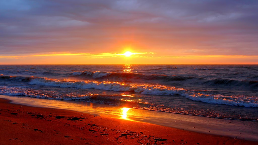 Oakwood Resort | 70671 Bluewater Hwy, Grand Bend, ON N0M 1T0, Canada | Phone: (519) 238-2324