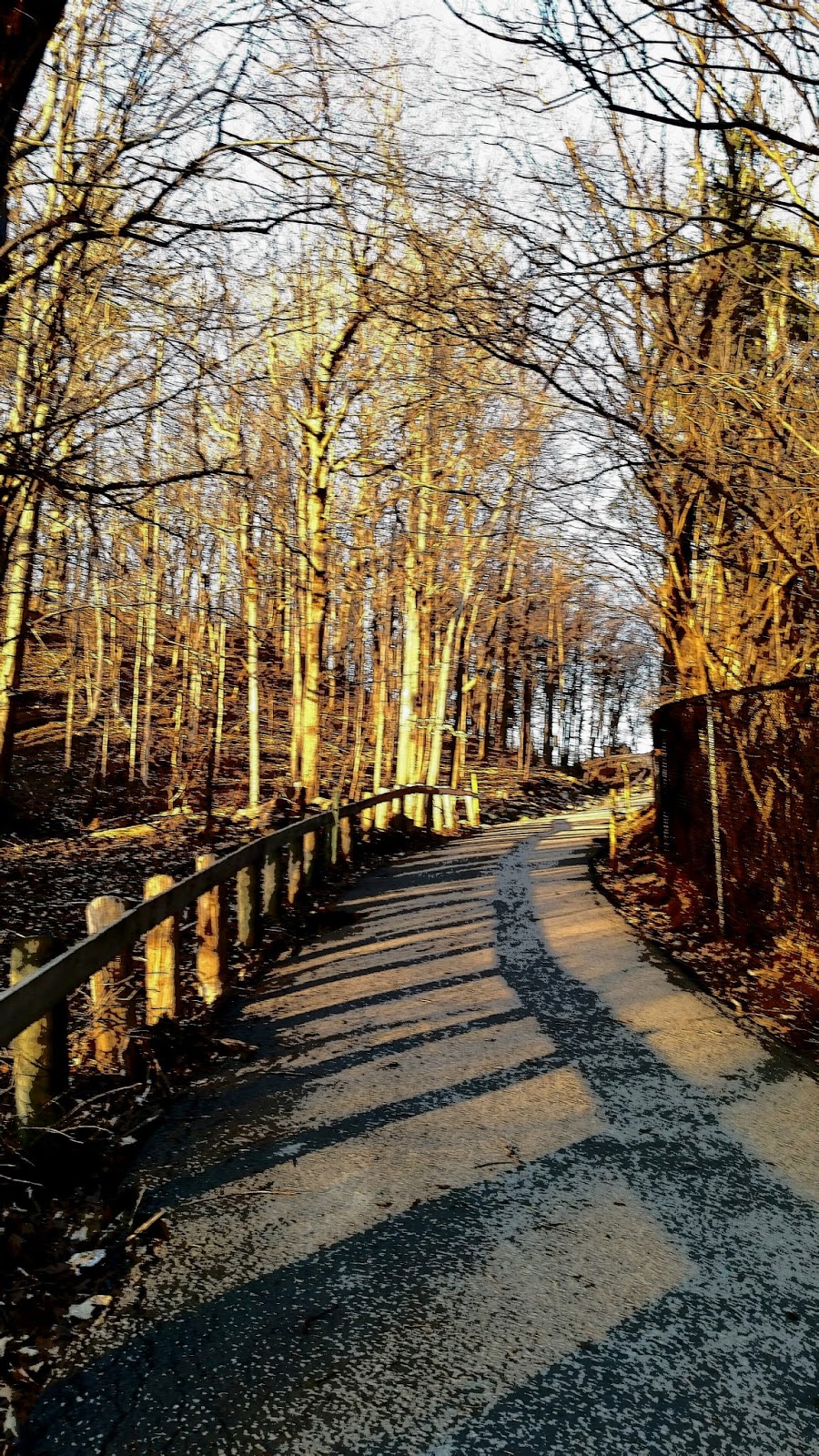 Addington Greenbelt | 15 Brentwood Ave, North York, ON M2N 2M8, Canada
