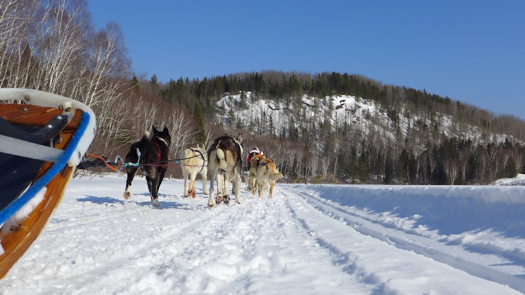 Canada Motoneige - Voyages et séjour en motoneige au Québec | 182 Chem. de lAéroport, La Macaza, QC J0T 1R0, Canada | Phone: (819) 592-5925