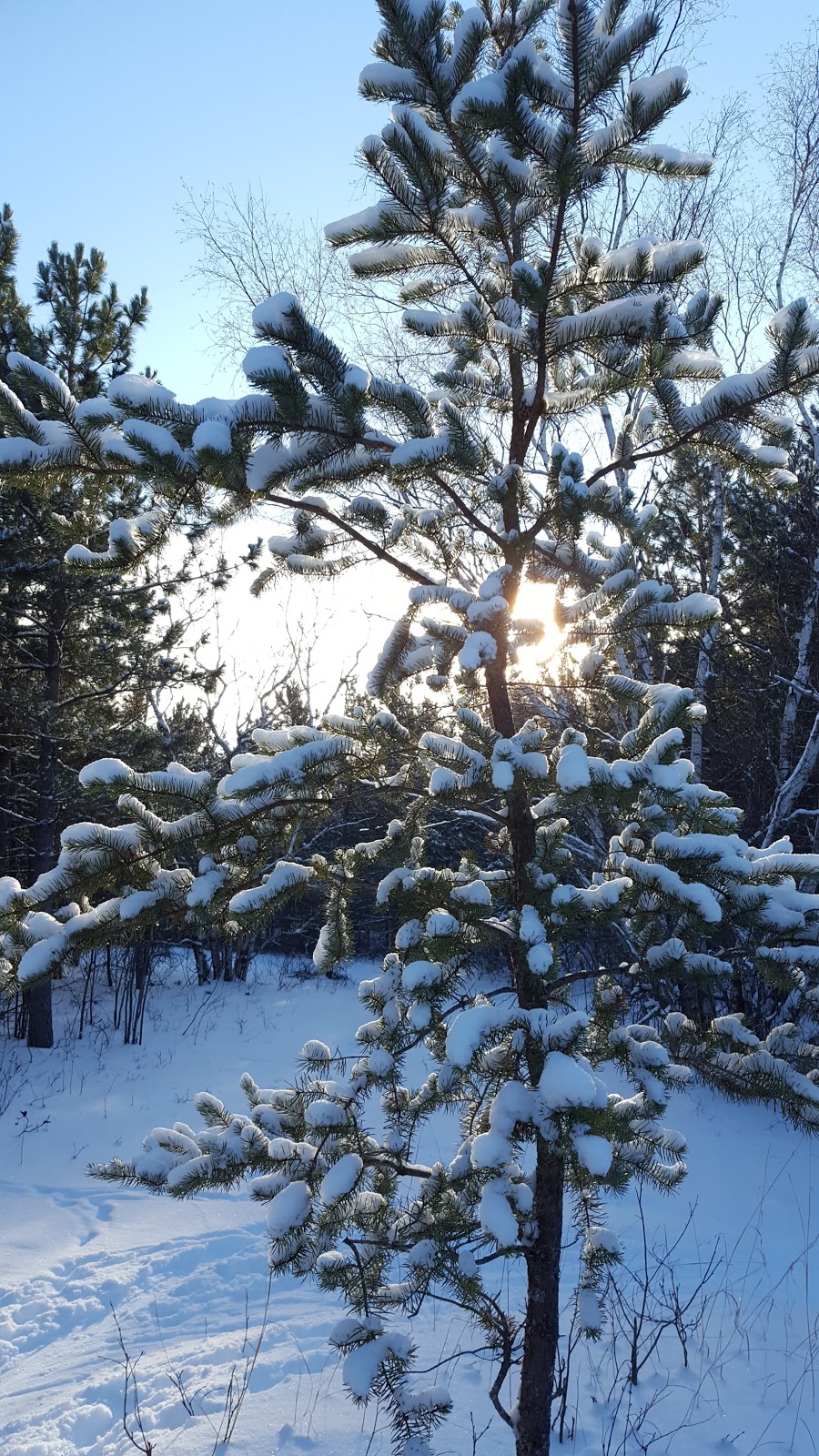 Grand Beach Cross Country Ski Trails | Unnamed Road, Grand Marais, MB R0E 0T0, Canada | Phone: (204) 754-5040