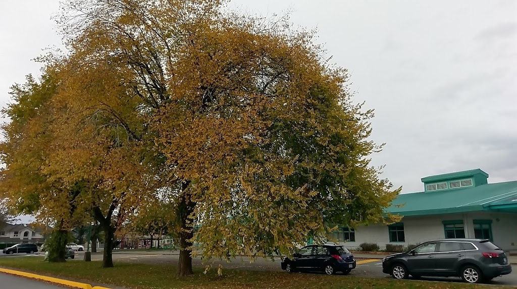 Lord Byng Elementary | 3711 Georgia St, Richmond, BC V7E 6M3, Canada | Phone: (604) 668-6649