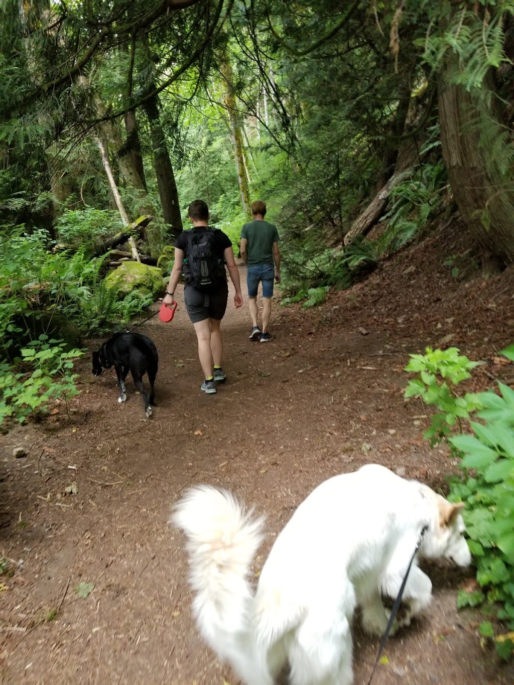 Squires Lake Trail Parking | 170 Old Hwy 99 N, Bellingham, WA 98229, USA