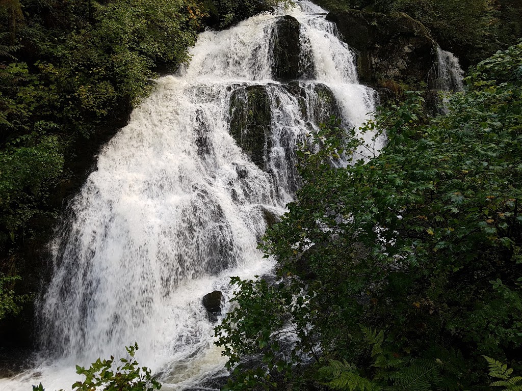 Hayward Lake Reservoir Trail. | 31170 Dewdney Trunk Rd, Mission, BC V4S 1C4, Canada