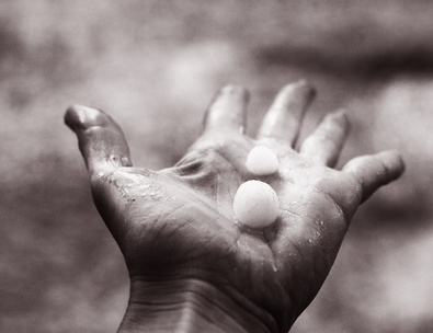 Hail Craftsmen | 2 Wheatstone Crescent, St. Albert, AB T8N 3G5, Canada | Phone: (800) 390-0692