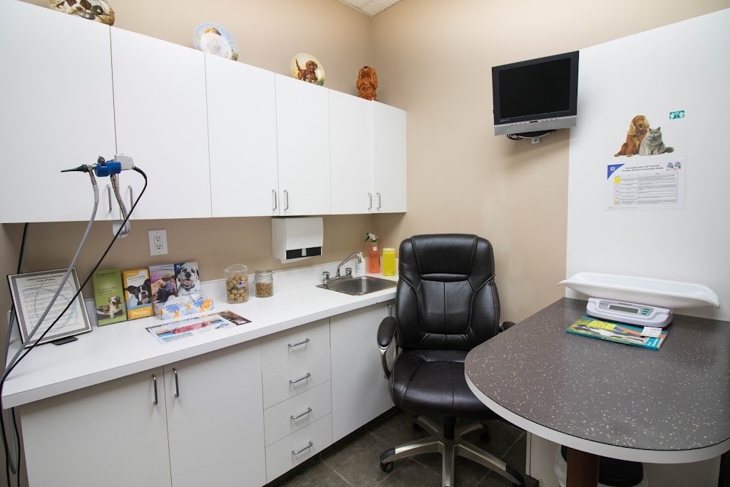 Animal Hospital of Manitoba | 995 Main St, Winnipeg, MB R2W 3P8, Canada | Phone: (204) 586-3334