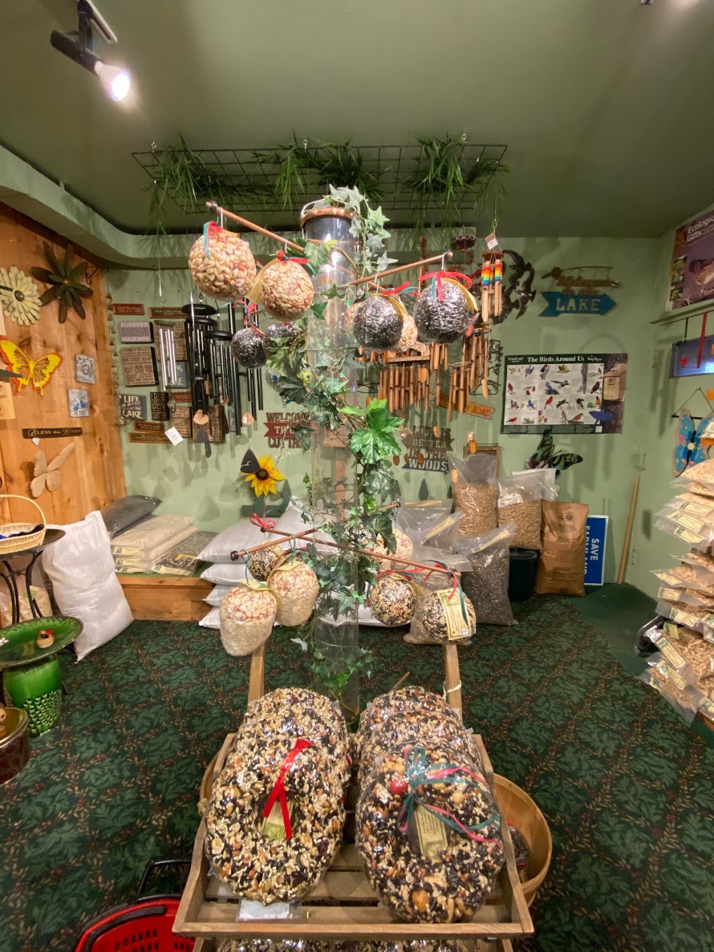 Bird House Nature Co | 108 Mississaga St E, Orillia, ON L3V 1V7, Canada | Phone: (705) 329-3939