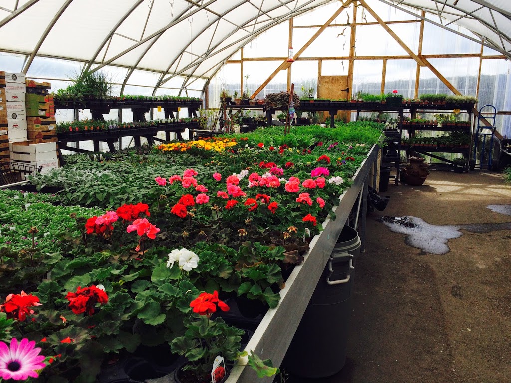 Michell Valley Plants | 2451 Island View Rd, Saanichton, BC V8M 1W3, Canada | Phone: (250) 886-0494