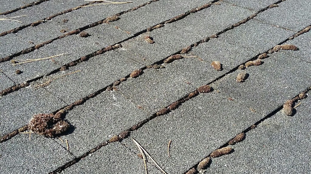 K & S CLEANING SYSTEMS & ROOF DEMOSSING/ TREATMENTS | 3065 Allenby Rd, Sahtlam, BC V9L 6W5, Canada | Phone: (250) 748-9498