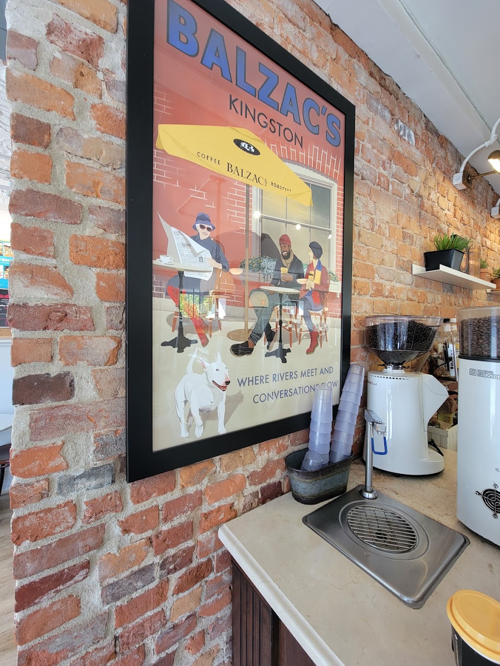 Balzacs Kingston | 251 Princess St, Kingston, ON K7L 1B4, Canada | Phone: (613) 417-0600