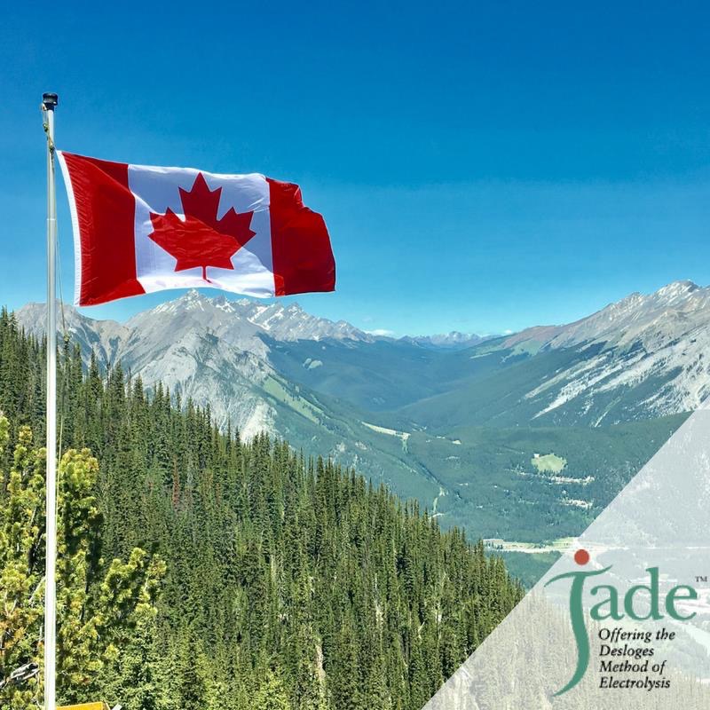 Jade Electrolysis | 2655 Clearbrook Rd #162, Abbotsford, BC V2T 2Y6, Canada | Phone: (604) 273-9091