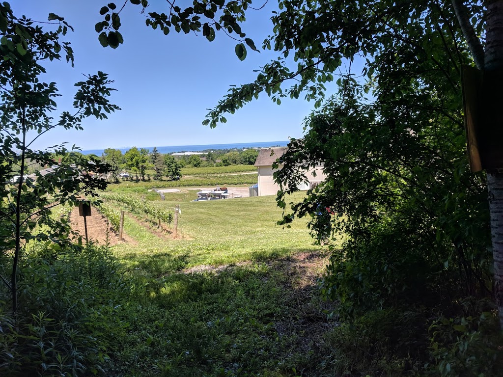 Mountainview Conservation Area | 4174 Mountainview Rd, Beamsville, ON L0R 1B2, Canada