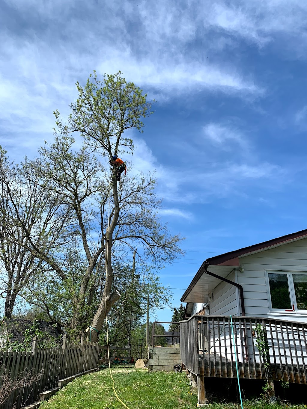 Oxley Tree Care Inc. | 5053 10th Sideroad, Thornton, ON L0L 2N0, Canada | Phone: (705) 896-2064
