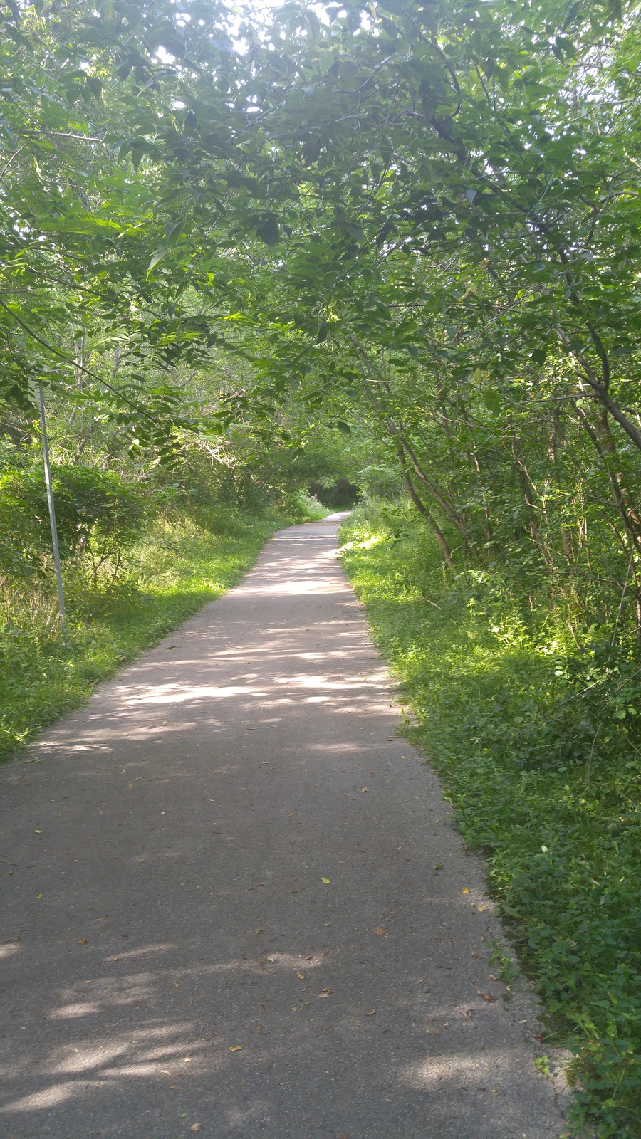 Woods Park | Carrville Rd, Richmond Hill, ON L4C 5W3, Canada | Phone: (905) 771-8800