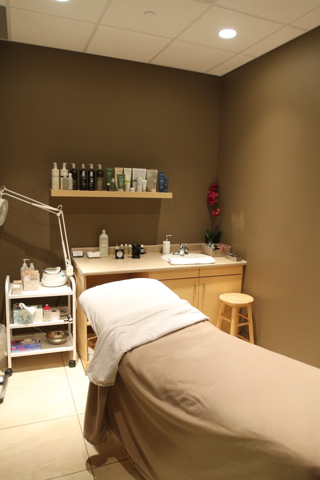 Blush Spa & Salon | 5844 Malden Rd, Windsor, ON N9H 1S4, Canada | Phone: (519) 966-1136