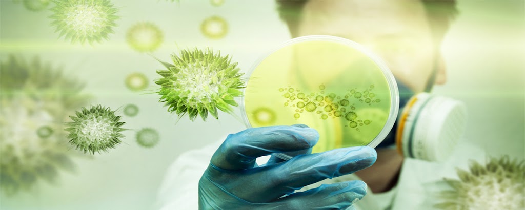 Bioxy AFD inc. | 3485 Rue Ashby, Saint-Laurent, QC H4R 2K3, Canada | Phone: (514) 830-9447