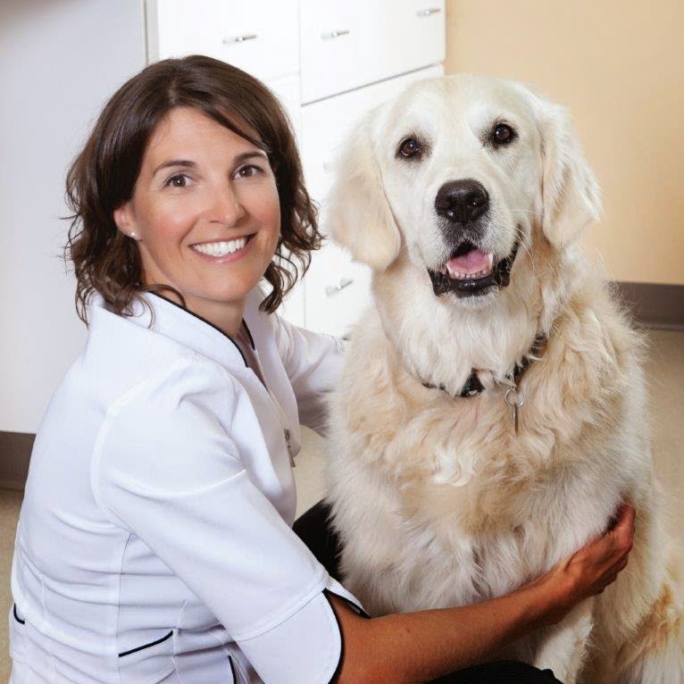 Dre Johanne Pellerin | 4000 Boulevard de Shawinigan-Sud, Shawinigan-Sud, QC G9P 4G2, Canada | Phone: (819) 536-5952