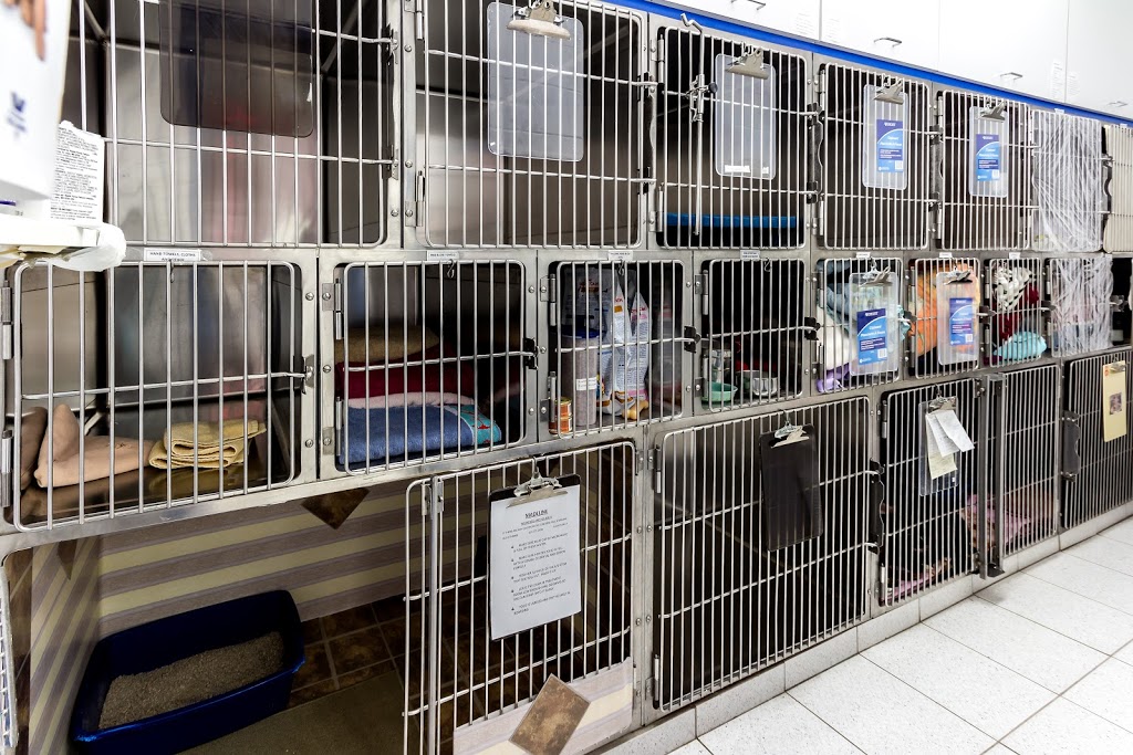 Prince Of Wales Animal Hospital | 888 Meadowlands Dr E, Ottawa, ON K2C 3R2, Canada | Phone: (613) 226-3200