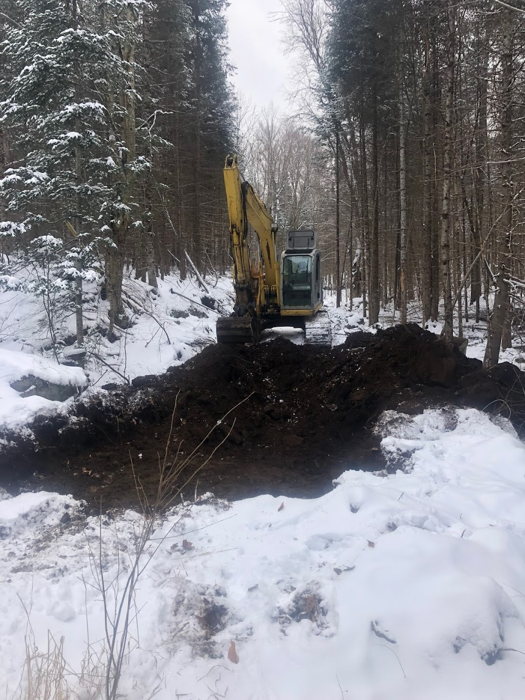 WS Land Clearing | 2574 Line 10 N, Oro, ON L0L 1T0, Canada | Phone: (705) 345-2988