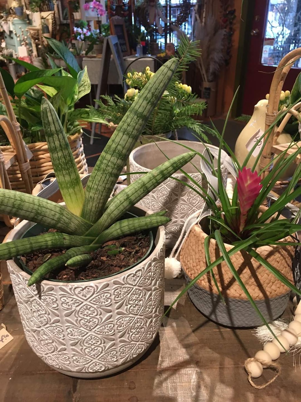 Fleuriste Shawinigan-Sud | 1605 105e Ave, Shawinigan-Sud, QC G9P 1M8, Canada | Phone: (819) 537-8989