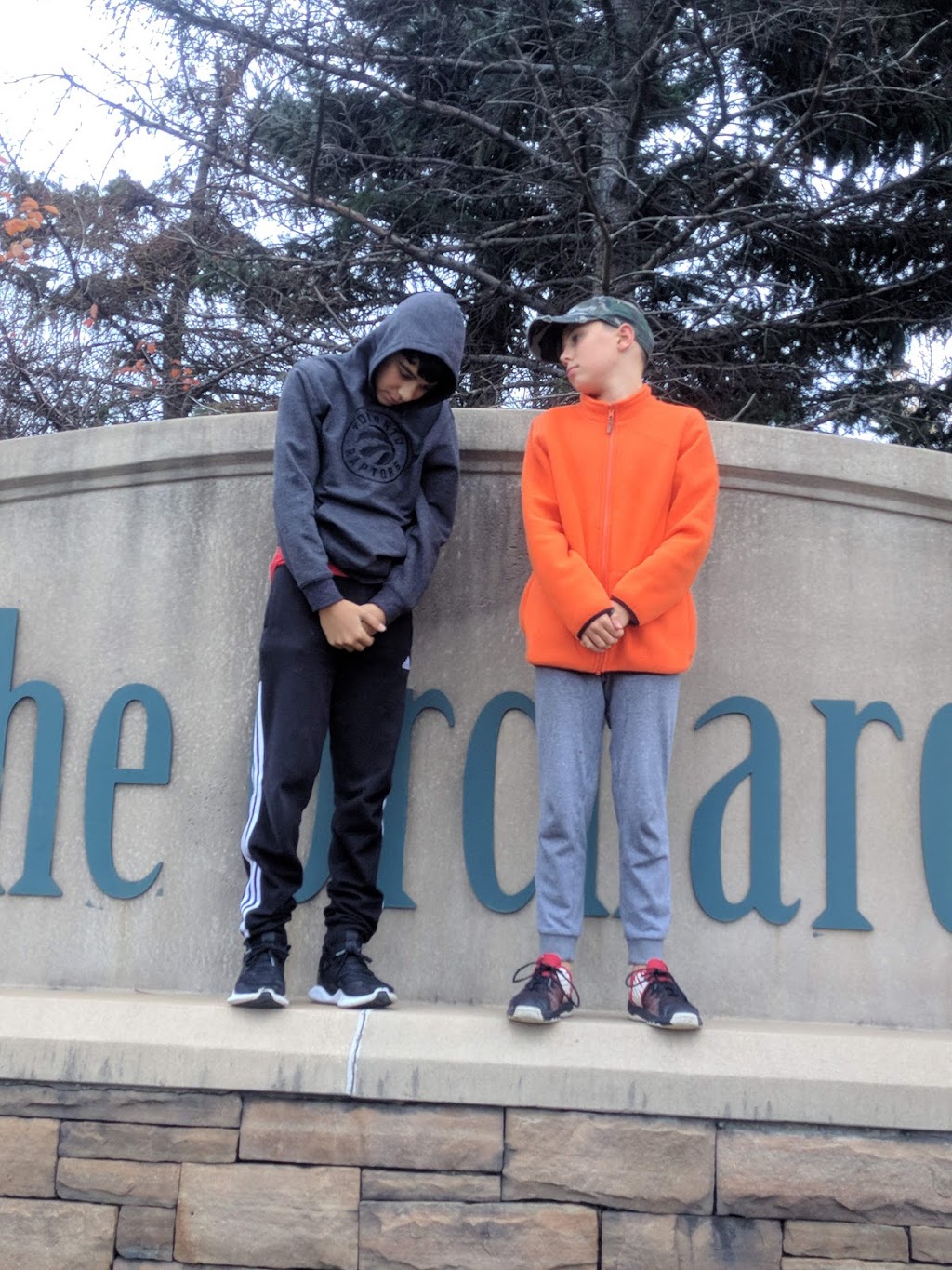 The Orchard Sign | Burlington, ON L7L 6G6, Canada